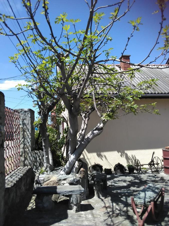 Apartmani Pinkum Veliko Gradište Exterior foto