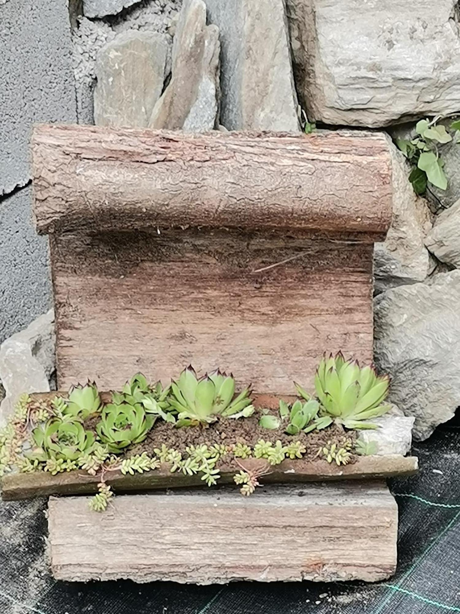 Apartmani Pinkum Veliko Gradište Exterior foto